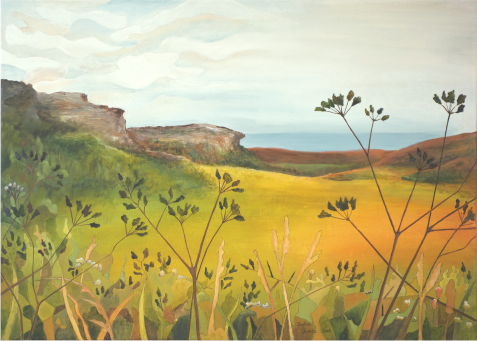 Landschaft bei Holyhead