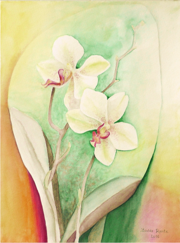 Orchidee