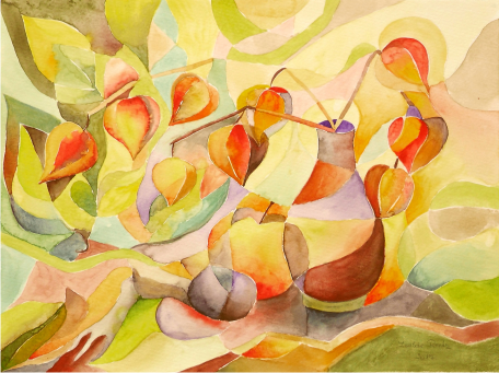 Physalis