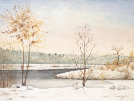 Winterstimmung an der Mur